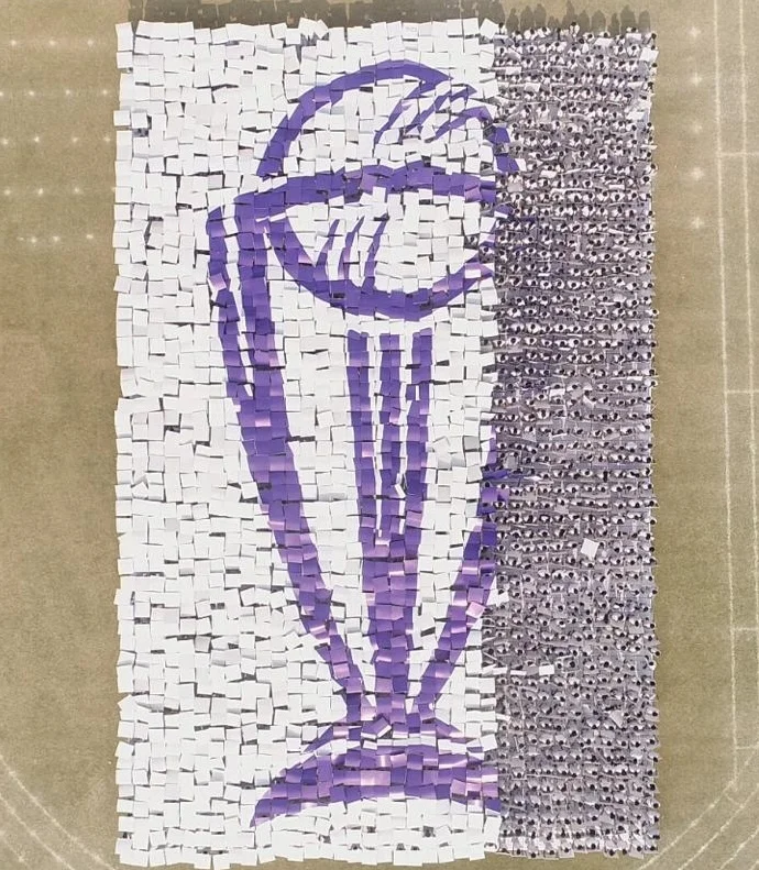 Close aerial of the World Cup trophy mosaic with participants forming the design
