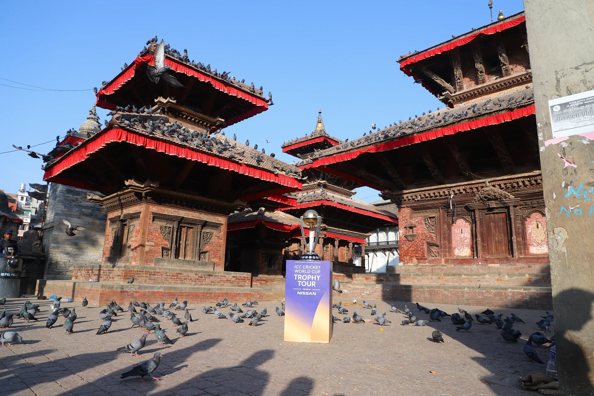 The trophy amid pigeons at the temples of Kathmandu's Durbar Square